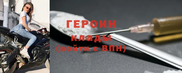 прущие грибы Вязьма