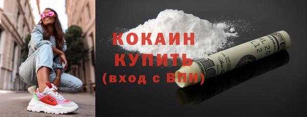 прущие грибы Вязьма