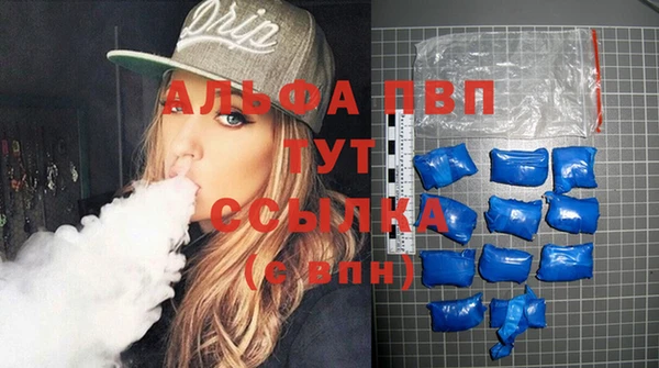 прущие грибы Вязьма