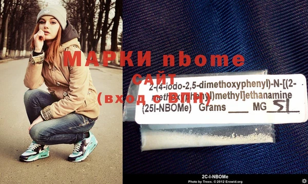 прущие грибы Вязьма
