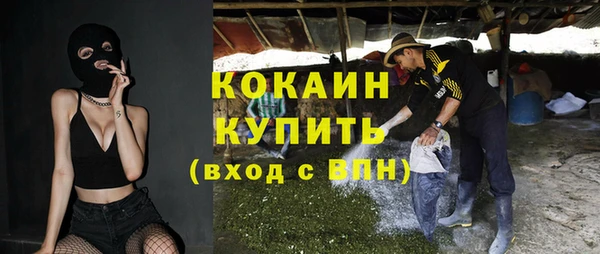 прущие грибы Вязьма