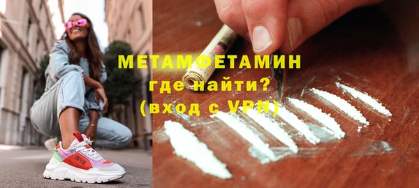 прущие грибы Вязьма