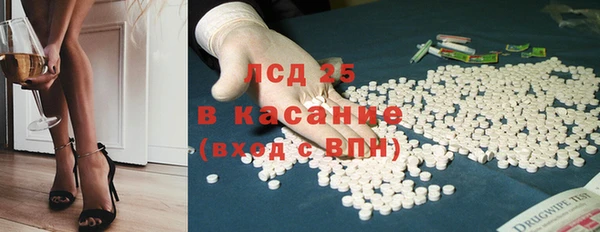 прущие грибы Вязьма