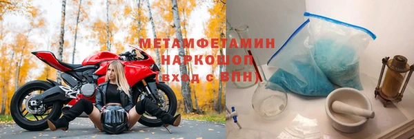 прущие грибы Вязьма