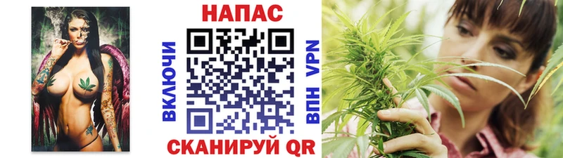 где найти   Якутск  Канабис OG Kush 